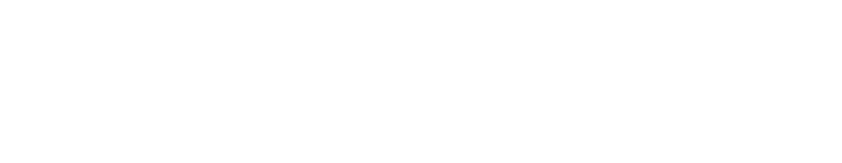 emsolPro Logo